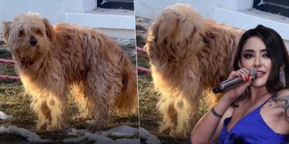 MELEK MOSSO’DAN YÜREKLERİ ISITAN DAVRANIŞ! BUZ GİBİ HAVADA SOKAĞA ATILAN TOPRAK’A KUCAK AÇTI