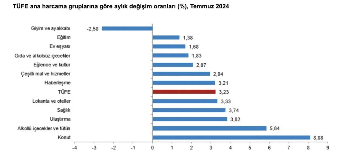 TÜİK Temmuz 2024 Enflasyon Verilerini Yayınladı