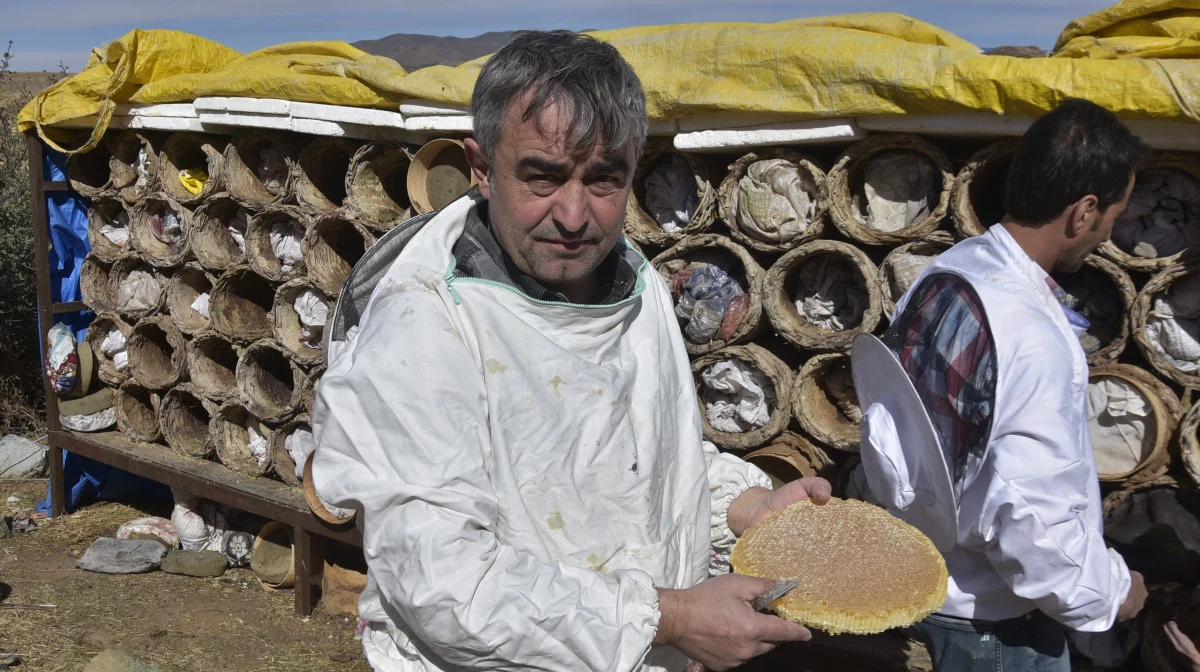 Bitlis’te Dünyaca Ünlü Karakovan Balı Hasadı Başladı