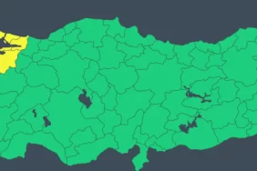 689c09bde2afd954__w1200xh532