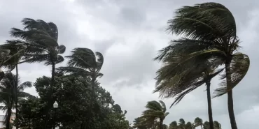 69104f9fa42f462f797d9828