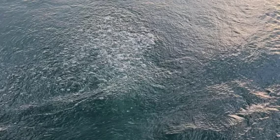 SAPANCA GÖLÜ’NDE KORKUTAN GÖRÜNTÜ: SU SEVİYESİ DÜŞTÜ, GÖL “KAYNIYOR” GİBİ