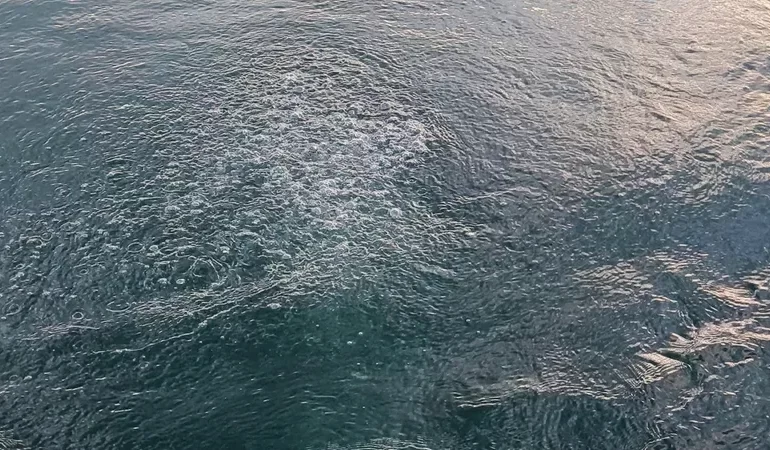 SAPANCA GÖLÜ’NDE KORKUTAN GÖRÜNTÜ: SU SEVİYESİ DÜŞTÜ, GÖL “KAYNIYOR” GİBİ