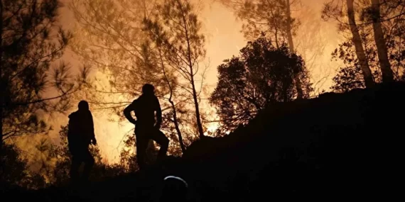 Muğla’daki Yangınlarda Son Durum: 218 Ev Boşaltıldı, 582 Kişi Tahliye Edildi