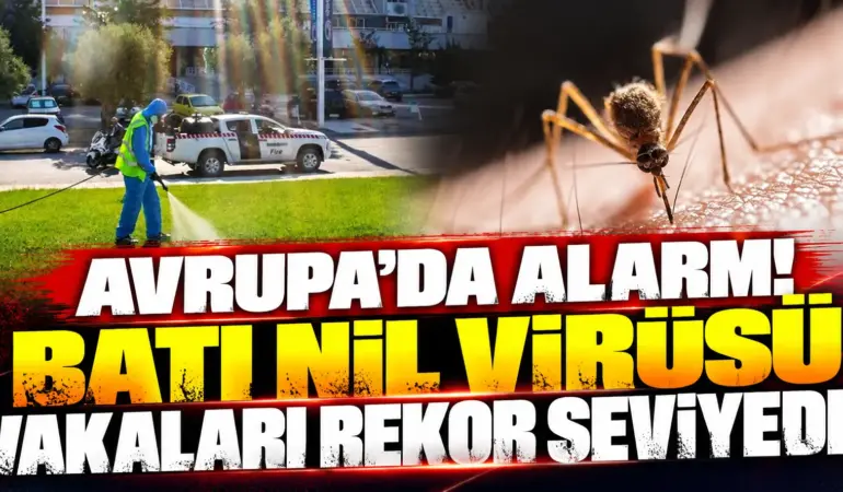 Avrupa’da Batı Nil Virüsü Alarmı! Rekor Vaka Sayısı: 130 Kişi Hayatını Kaybetti