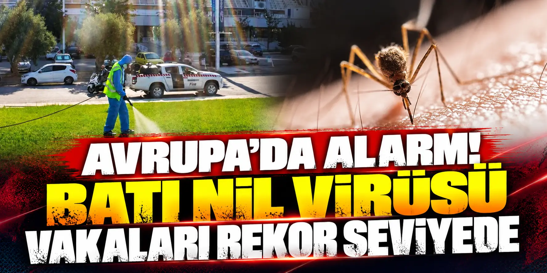 Avrupa’da Batı Nil Virüsü Alarmı! Rekor Vaka Sayısı: 130 Kişi Hayatını Kaybetti