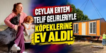 Ceylan Ertem’den Köpeklerine Ev