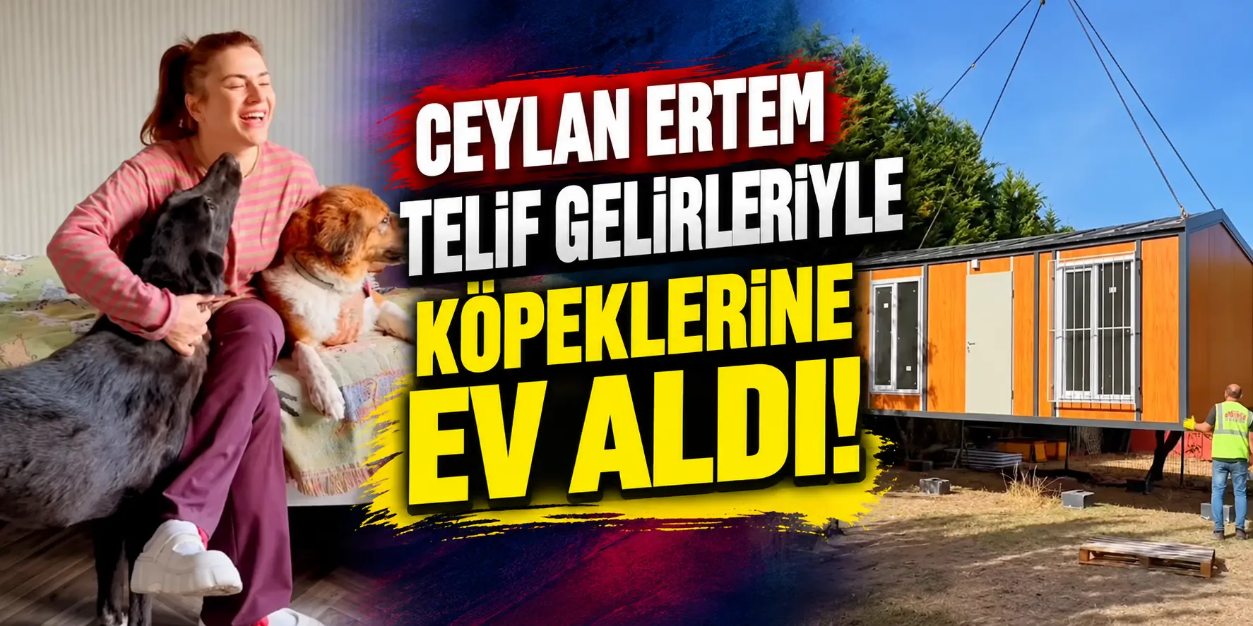 Ceylan Ertem telif gelirleriyle köpeklerine ev aldı! Sözleri dikkat çekti