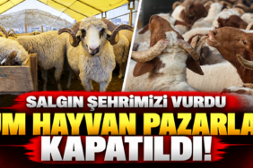 ChatGPT Görseli 30 Eyl 2026 13_38_29