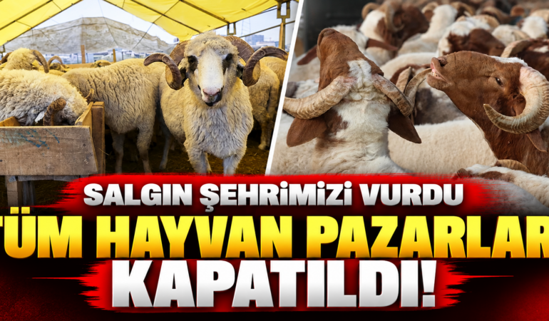 Aydın’da Hayvan Hastalığı Alarmı: Tüm Hayvan Pazarları Kapatıldı