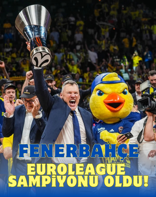 Ekran görüntüsü 2025-05-26 114210