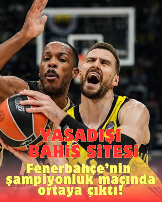 Ekran görüntüsü 2025-05-26 160646