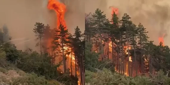 Denizli’deki Yangın Kontrolden Çıktı: Köyler Tehlike Altında