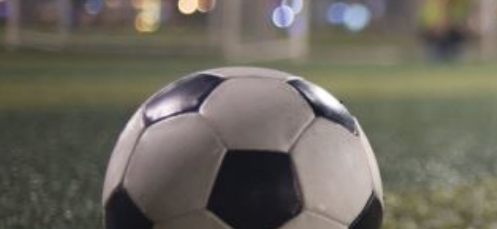 FENERBAHÇE’DE YENİ HOCA ARAYIŞI (25)