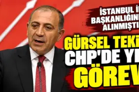 Gürsel Tekin’e CHP’de Yeni Görev!