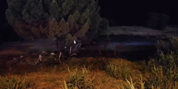 Ormanlık Alanda Havai Fişek Yaktılar: Bursa’da 4 Kişi Gözaltında