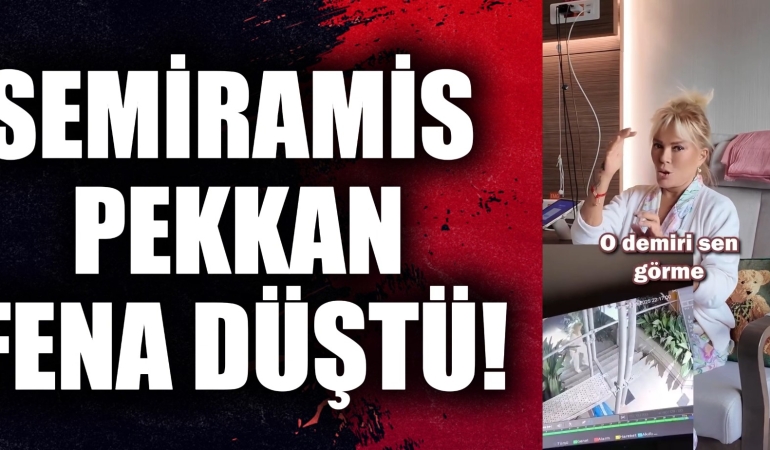 SEMİRAMİS PEKKAN KÖPEĞİNİ GEZDİRİRKEN KAZA GEÇİRDİ. ÖLÜMDEN DÖNDÜ!