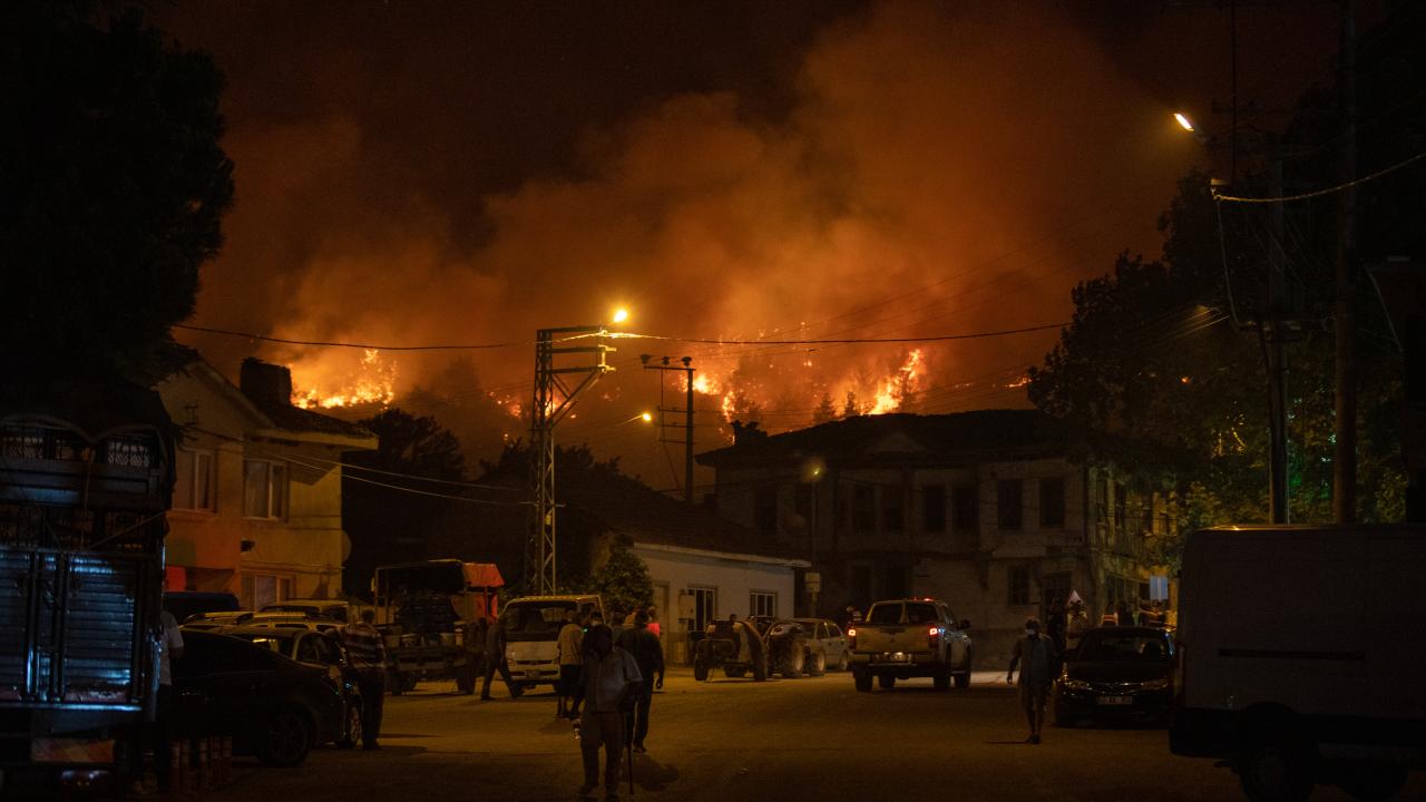 Sakarya'da Orman Yangını