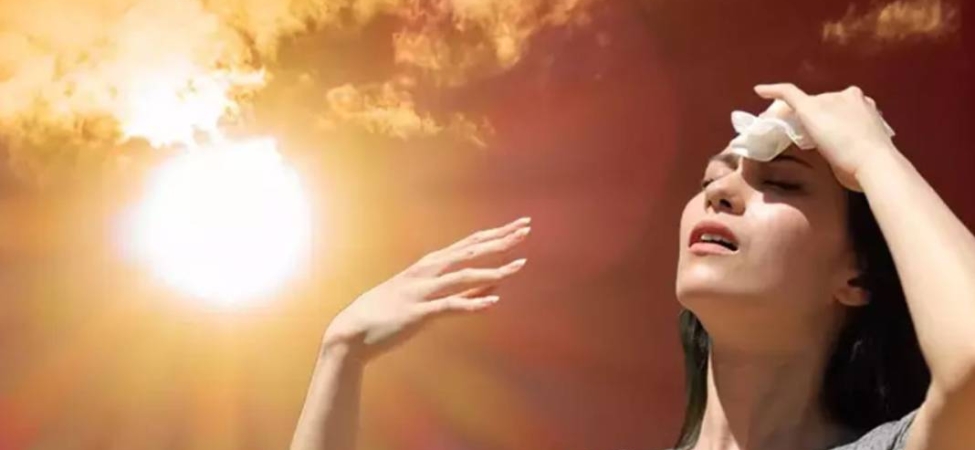 Screenshot---2025-06-23T070849