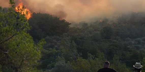 İzmir Urla’da Orman Yangını: Havadan ve Karadan Müdahale Devam Ediyor