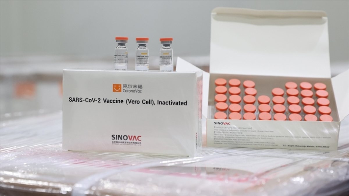 AB’de 7 ülke, Sinovac aşısı yasağını kaldırdı