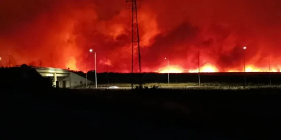 Tekirdağ’da Yangın Alarmı: Ekipler Seferber Oldu