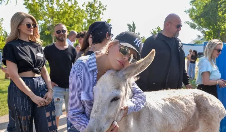AJDA PEKKAN’DAN YABAN EŞEKLERİ TEPKİSİ: HEP BERABER DELİRECEĞİZ!