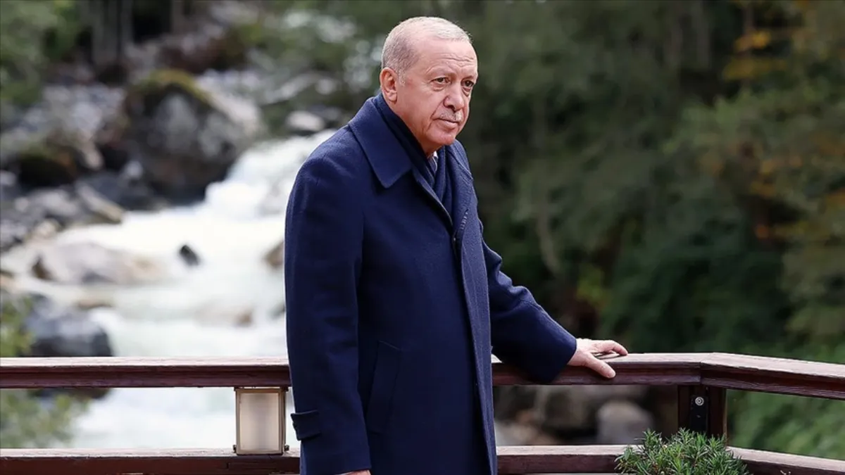 anne