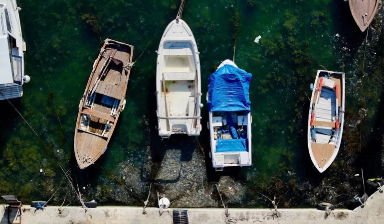 İSTANBUL’UN BEYKOZ SAHİLİNDE MÜSİLAJ YENİDEN GÖRÜLDÜ