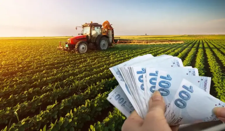 Bitkisel üretim destekleri hesaplara yatıyor: Ödeme takvimi belli oldu