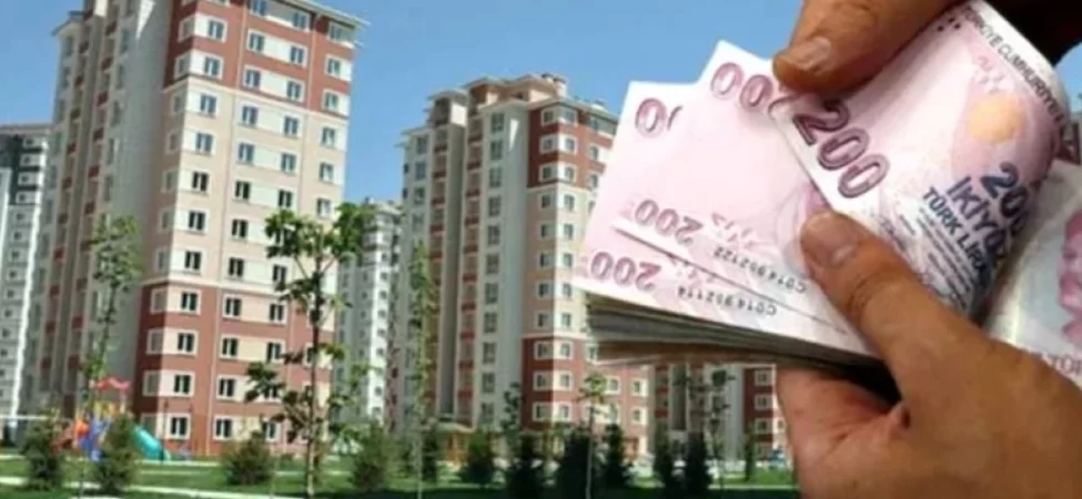 cumhurbaskani-erdogan-a-milli-erkek-basketbol-takimini-tebrik-etti-thhf