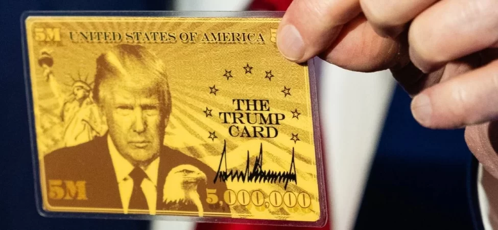 cumhurbaskani-erdogan-a-milli-erkek-basketbol-takimini-tebrik-etti-thhf