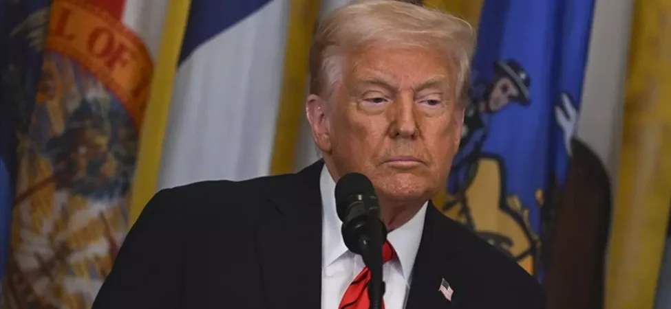 cumhurbaskani-erdogan-a-milli-erkek-basketbol-takimini-tebrik-etti-thhf