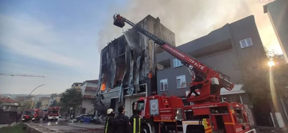 cumhurbaskani-erdogan-a-milli-erkek-basketbol-takimini-tebrik-etti-thhf