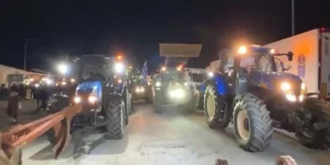 cumhurbaskani-erdogan-a-milli-erkek-basketbol-takimini-tebrik-etti-thhf