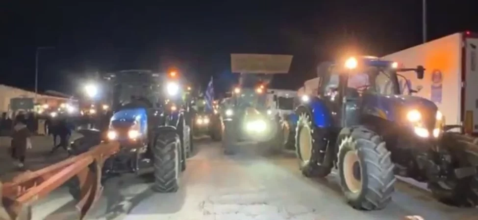 cumhurbaskani-erdogan-a-milli-erkek-basketbol-takimini-tebrik-etti-thhf