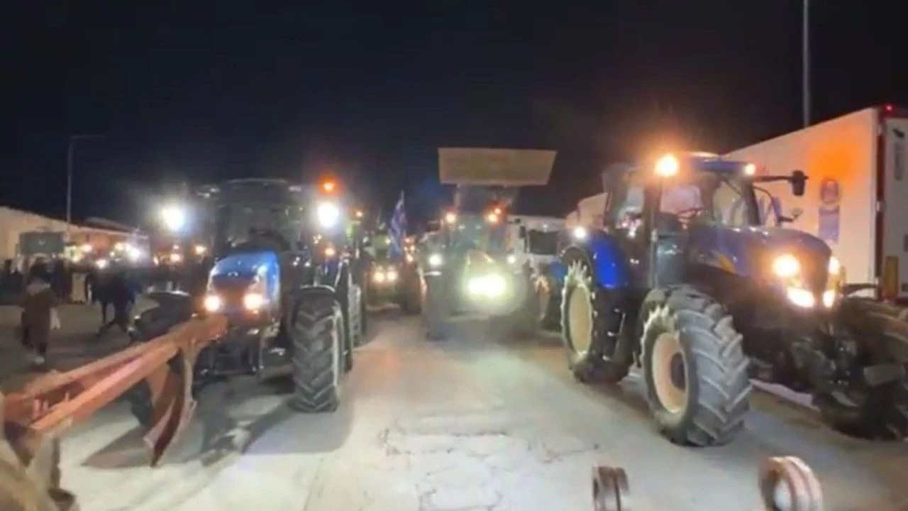 cumhurbaskani-erdogan-a-milli-erkek-basketbol-takimini-tebrik-etti-thhf