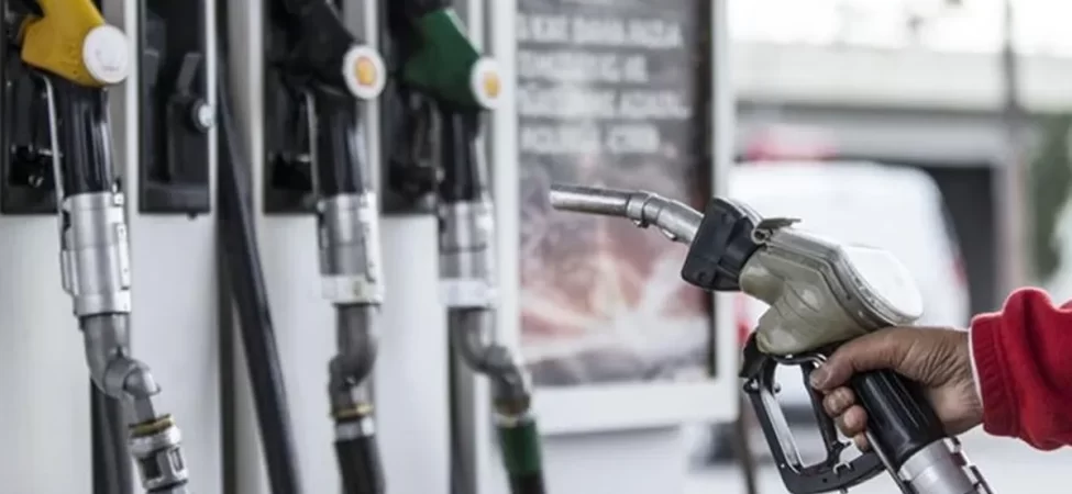 cumhurbaskani-erdogan-a-milli-erkek-basketbol-takimini-tebrik-etti-thhf