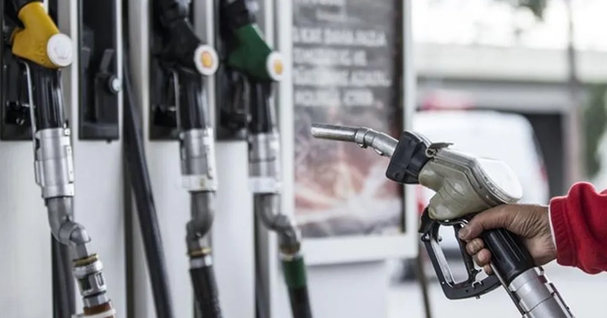 cumhurbaskani-erdogan-a-milli-erkek-basketbol-takimini-tebrik-etti-thhf