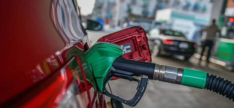 cumhurbaskani-erdogan-a-milli-erkek-basketbol-takimini-tebrik-etti-thhf