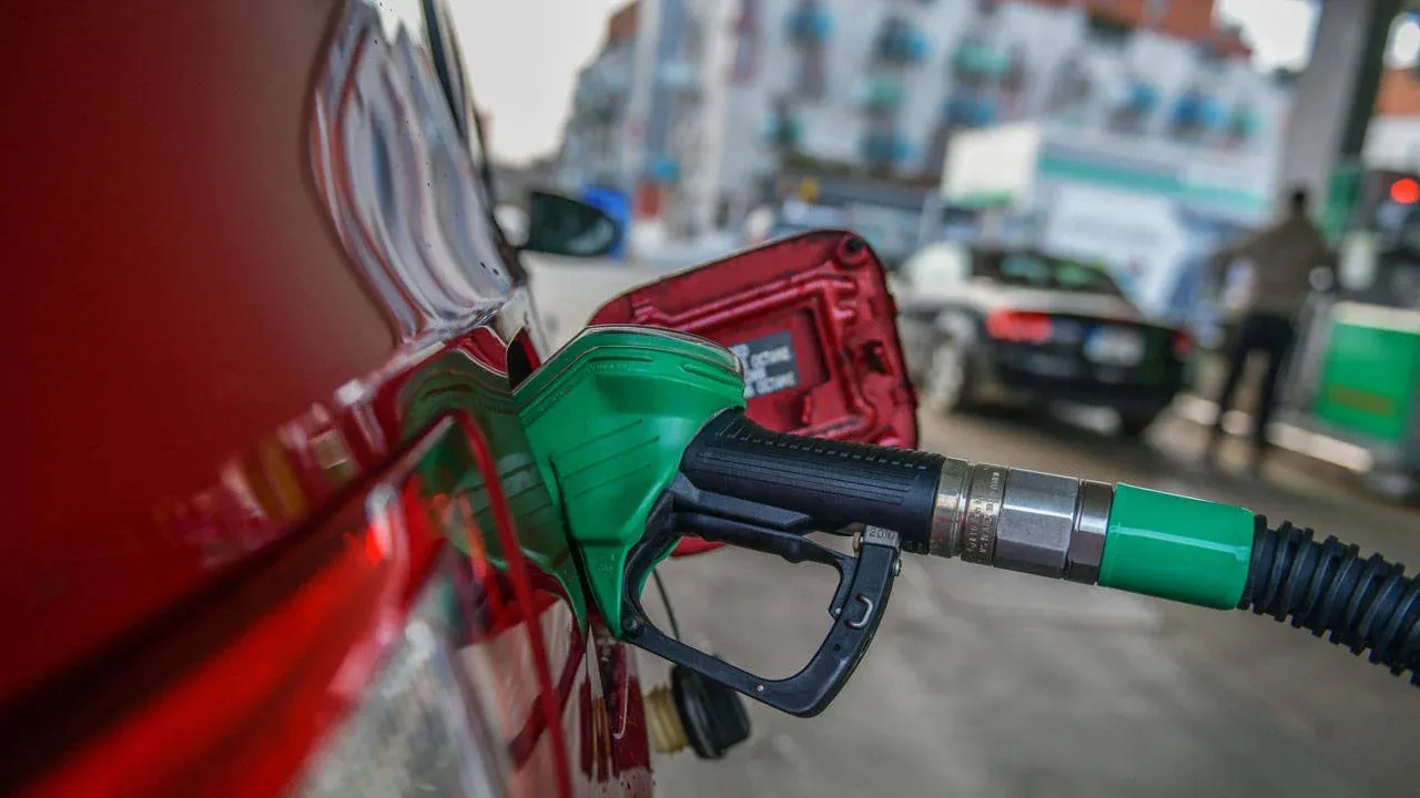 cumhurbaskani-erdogan-a-milli-erkek-basketbol-takimini-tebrik-etti-thhf