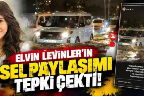 elvin_levinler_kapak_1mb_alti