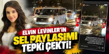 elvin_levinler_kapak_1mb_alti
