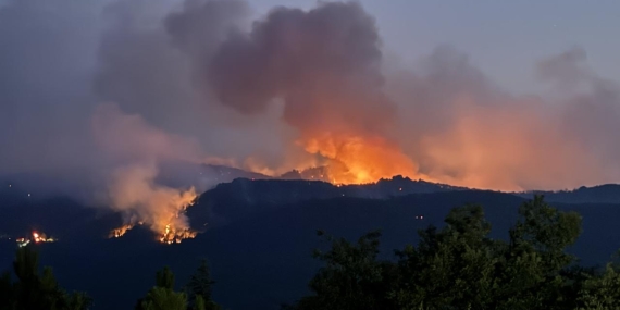 Eskişehir Orman Yangınında Hayatını Kaybeden 10 Kişinin Kimliği Belli Oldu