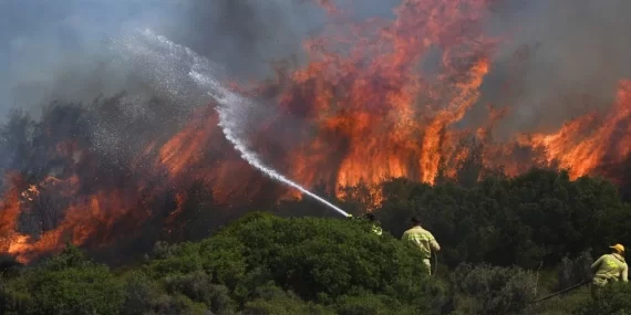 Foça Bozköy’de Orman Yangını Çıktı: 11 Uçakla Havadan Müdahale Ediliyor