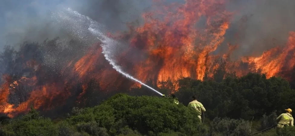 focada-orman-yanginina-4-ucakla-mudahale-2