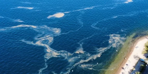 KINALIADA AÇIKLARINDA MÜSİLAJ ALARMI