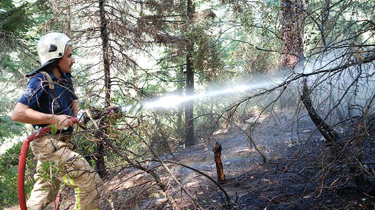 Kartal’da çıkan orman yangını söndürüldü