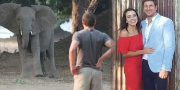 milyoner-ceo-fil-tarafindan-olduruldu