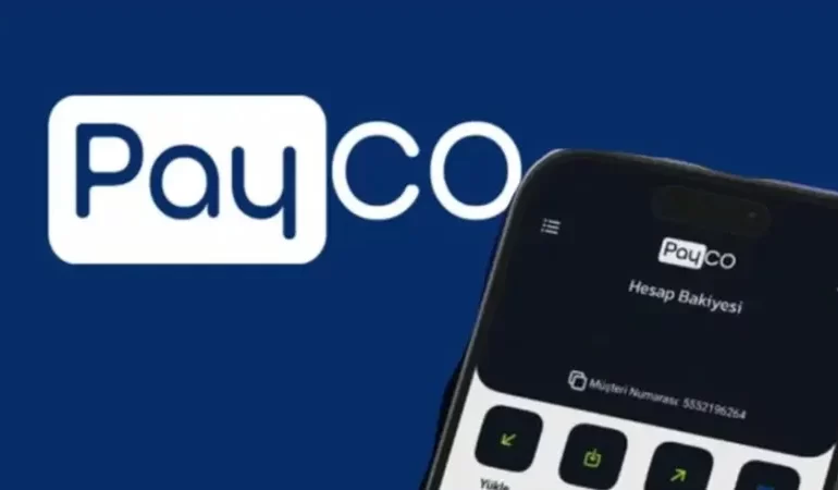 Kara para soruşturmasında yeni dalga: Payco’nun beyin takımı tutuklandı